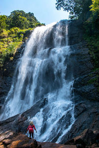 Scenic view of waterfall in forest