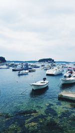 Sailboats moored on sea against sky