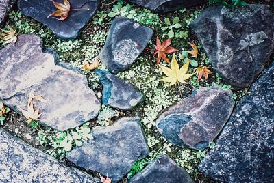 High angle view of stone wall