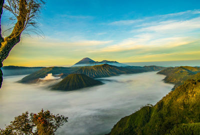 Bromo mountain view from kingkong hill