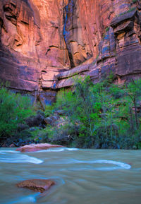 Virgin river flowing by canyon at zion national park