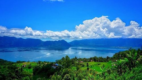 Scenic view of landscape against sky