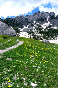 Scenic view of field against sky