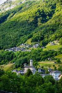 High angle view of village amidst trees and houses