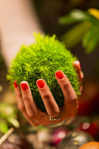 Close-up of hand holding leaves