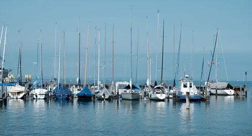 Sailboats moored in harbor.