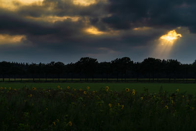 Scenic view of grassy field against cloudy sky during sunset