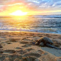 Scenic view of sea at sunset