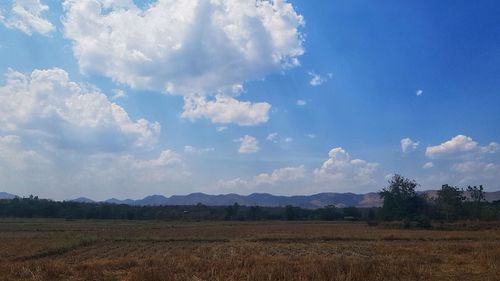 Scenic view of field against sky