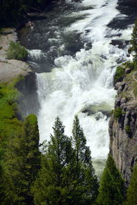 Scenic view of waterfall in forest