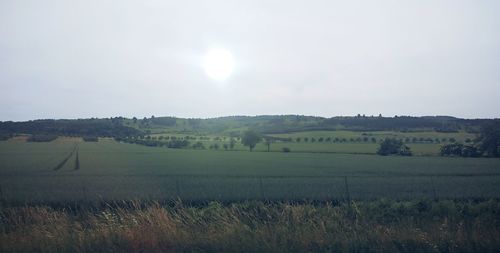 Scenic view of agricultural field against clear sky