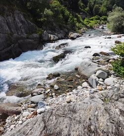 Stream flowing through rocks in forest