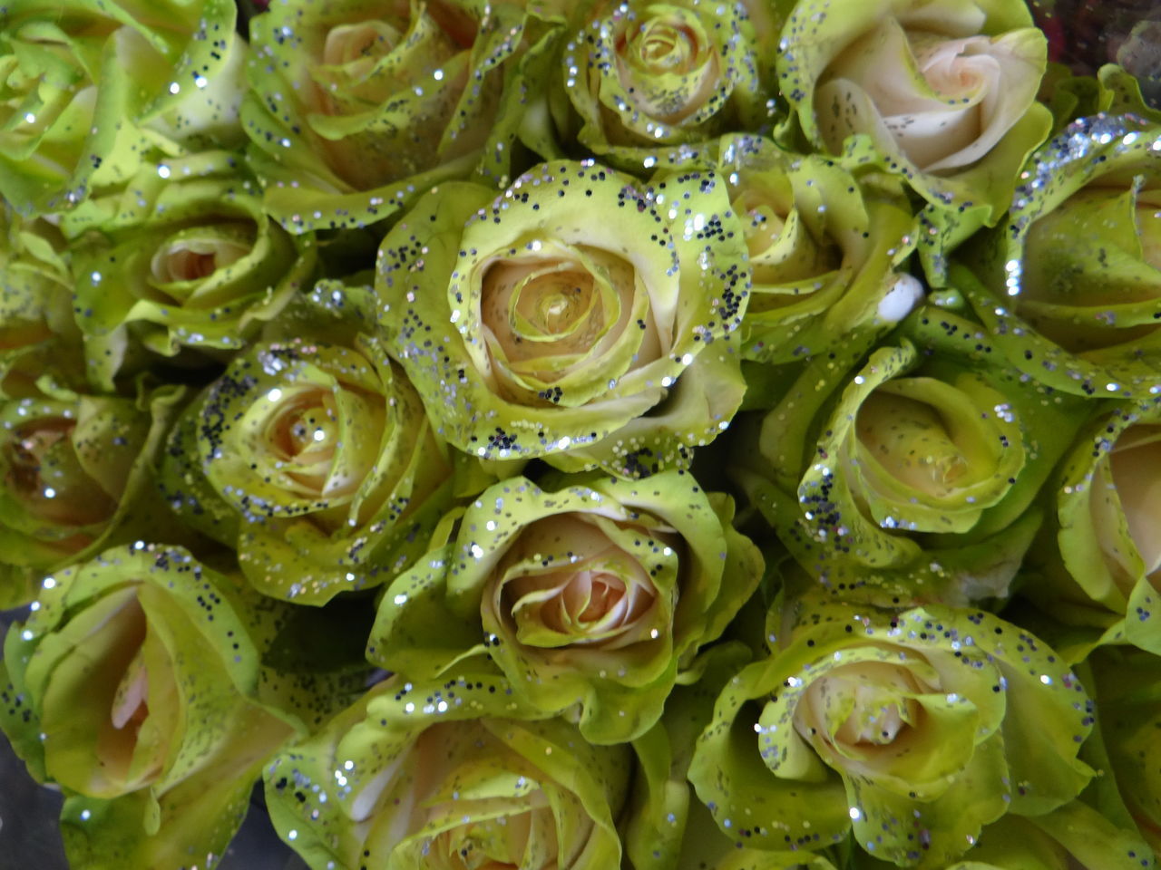 FULL FRAME SHOT OF WET GREEN PLANTS