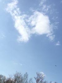 Low angle view of trees against sky