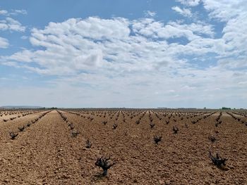 Scenic view of desert against sky