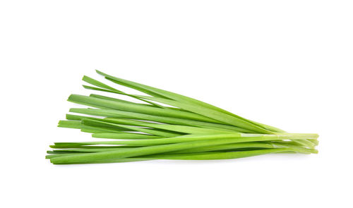 Close-up of green leaf against white background