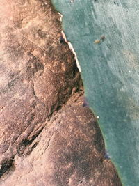 High angle view of rocks on beach