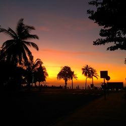 Silhouette palm trees against sky during sunset