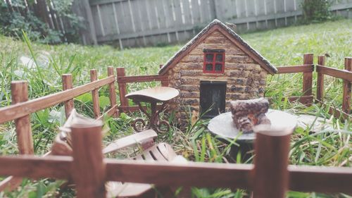 Close-up of cat on wood against built structure