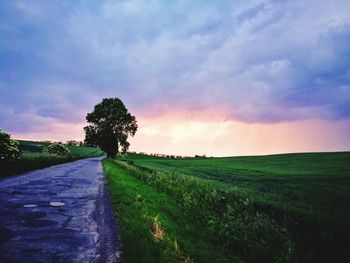 Scenic view of field against sky during sunset