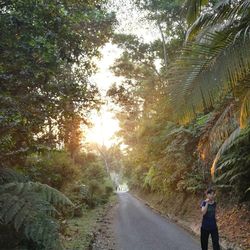 Rear view of man walking on road in forest