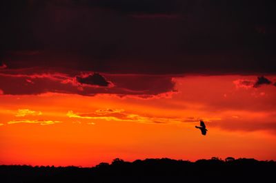 Silhouette of landscape at sunset