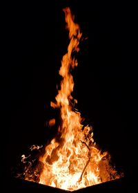 Close-up of fire in the dark