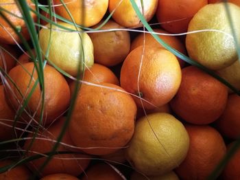 Full frame shot of oranges