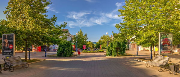 Trees by street in city against sky