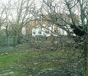 Bare trees against sky