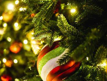 Close-up of christmas tree