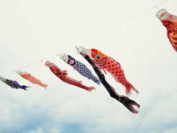 Low angle view of fish hanging against sky