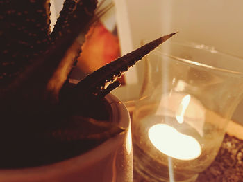 Close-up of a guitar