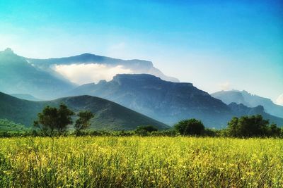 Scenic view of landscape against sky