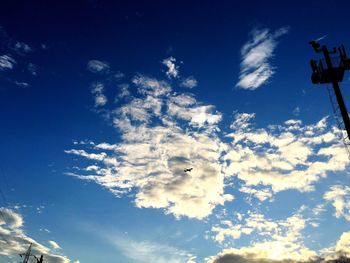 Low angle view of bird flying against blue sky