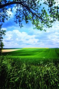 Scenic view of field against cloudy sky