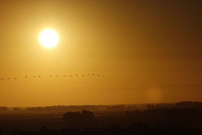 Silhouette birds flying in sky during sunset