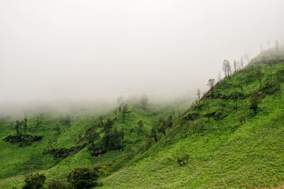 Scenic view of landscape against sky during foggy weather