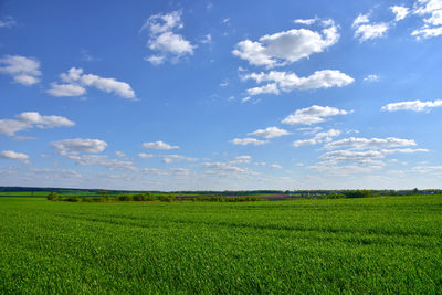 Scenic view of agricultural field against sky