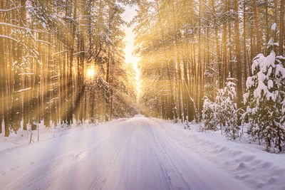 Automobile road