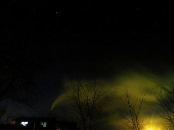 Low angle view of trees against sky at night