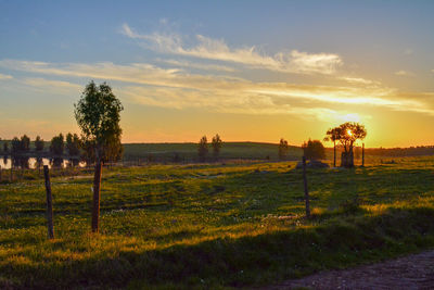 Scenic view of field against sky during sunset