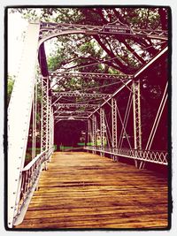 Footbridge along trees