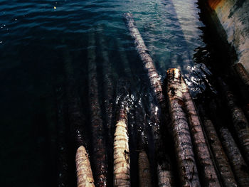 Scenic view of water