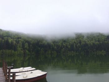 Scenic view of lake by trees against sky