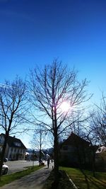 Bare tree by street and buildings against blue sky