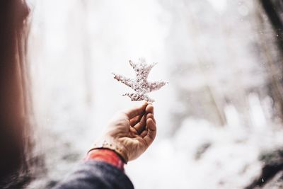 Cropped image of woman hand holding snow covered oak leaf