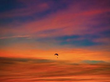 Low angle view of silhouette bird flying against orange sky