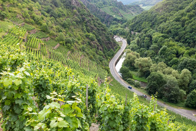 Scenic view of mountain road