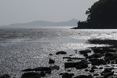 Scenic view of sea against clear sky